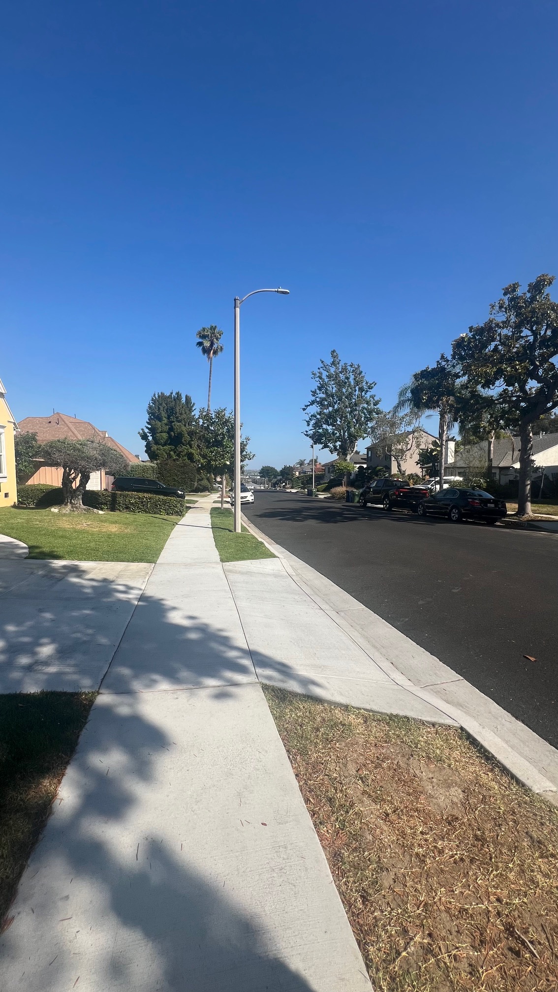 20250618-010151493-a136-9f707145df35_Street Photo 2.jpg